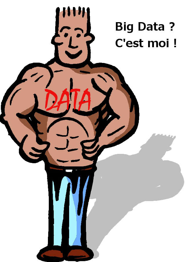 big data décisionnel