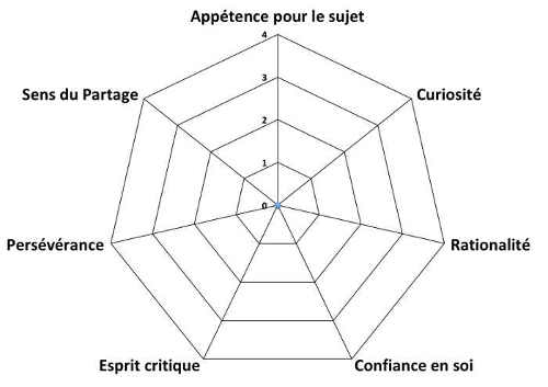 Bilan graphique radar vierge