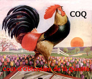 Un coq, l'animal