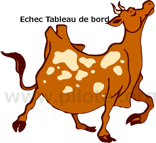 Mettre la charrue avant les boeufs Mettre la charrue avant les boeufs