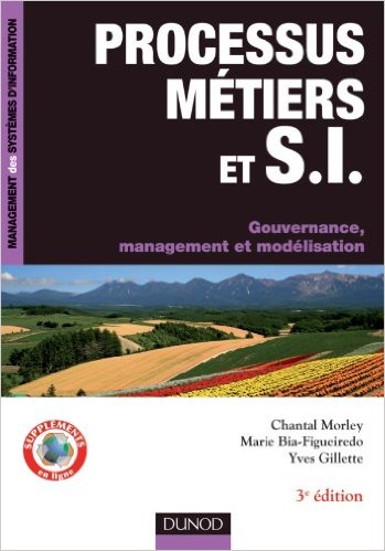 Processus métiers et systèmes d'informations : Gouvernance, management, modélisation - 3e édition 