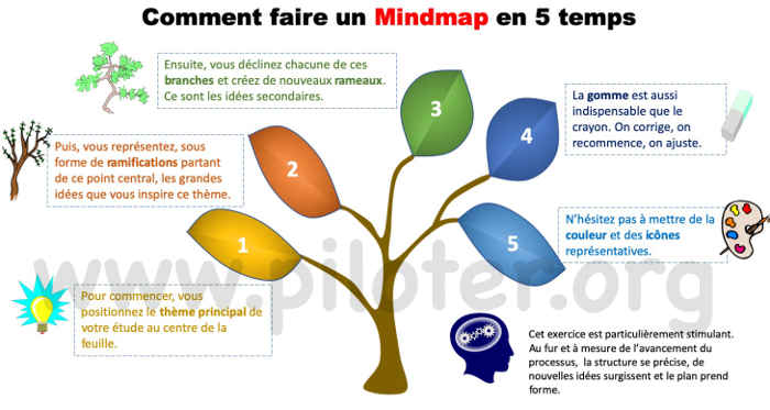 Mindmap,  Management