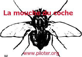 Humour, la mouche du coche