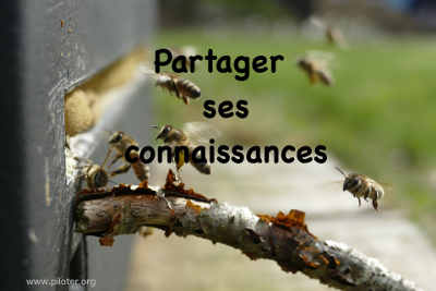 Partager ses connnaissances