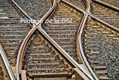 métaphore conduite de l'équipe DSI