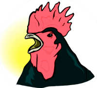 Promoteur : le coq