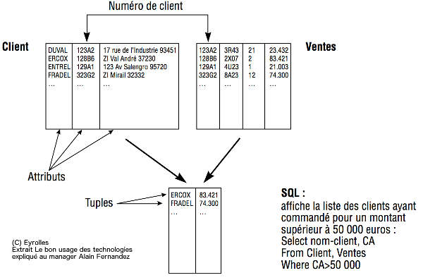 Le principe du SGBD expliqué