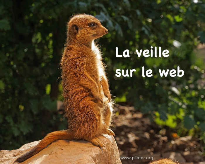 La veille sur le web