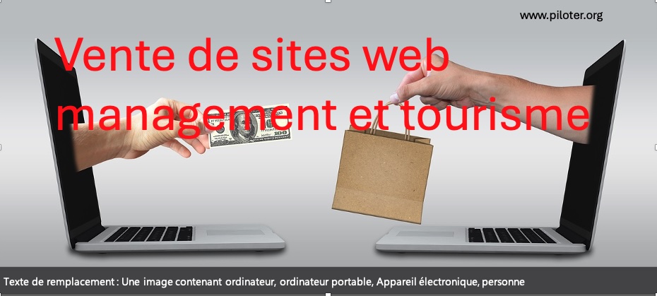 Vente de sites web