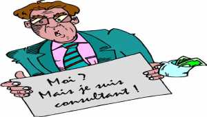 Les types de consultant  