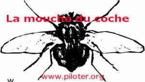  Monter une EIRL, fiche pratique