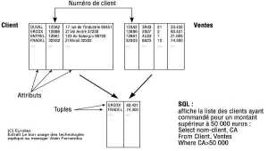 Les bases de données relationnelles, SGBDR