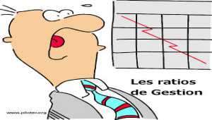 Ratios de gestion financière 