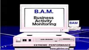 Qu'est-ce que le B.A.M ?   Business Activity Monitoring